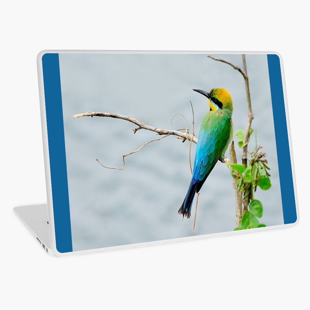 Item preview, Laptop Skin designed and sold by Gailsphotoart.