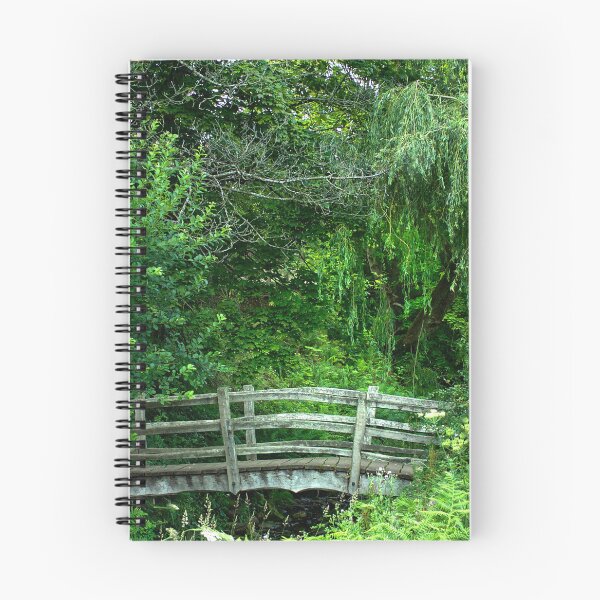 Item preview, Trespass Bridge  designed and sold by Alisonchambers2.