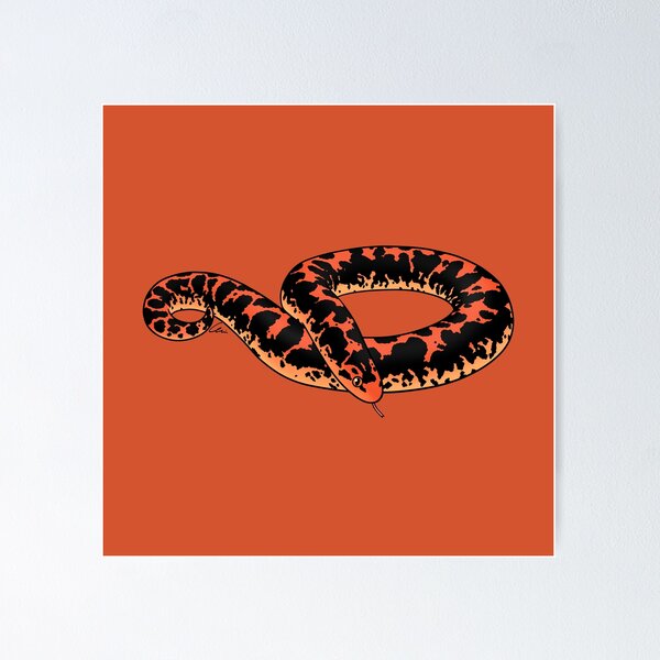 Item preview, Nuclear Kenyan Sand Boa designed and sold by anacecilia.