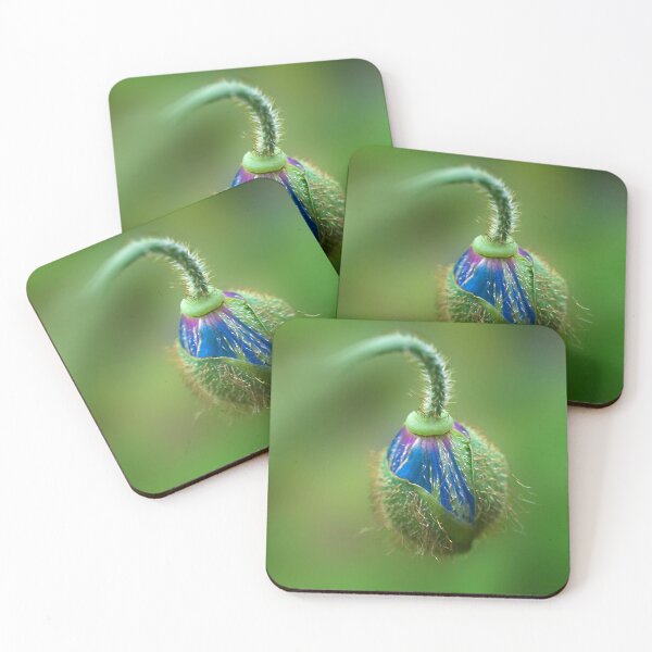 Item preview, Unfurling Himalayan Poppy designed and sold by Alisonchambers2.
