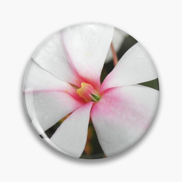 Item preview, Frangipani designed and sold by BenClarkImagery.