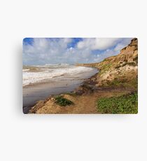Weather Beaten Canvas Print