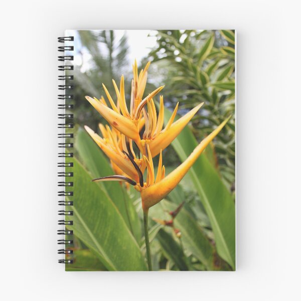 Item preview, Bird of Paradise designed and sold by BenClarkImagery.