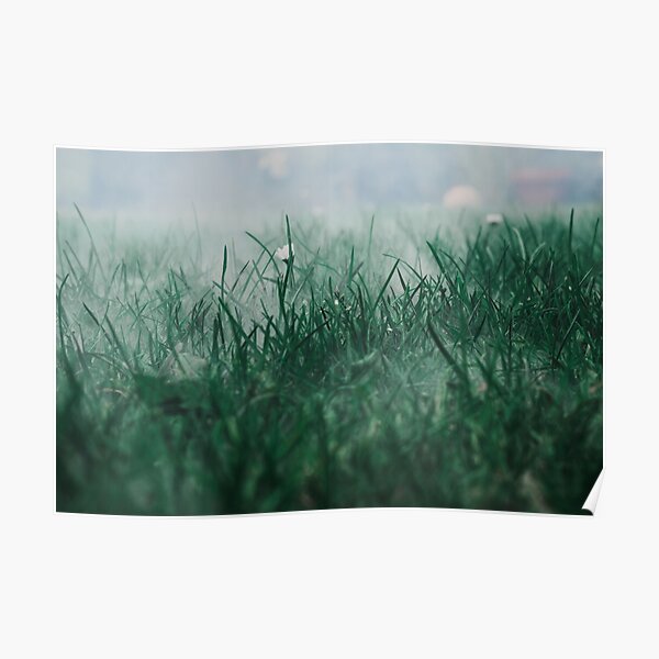 grass Poster