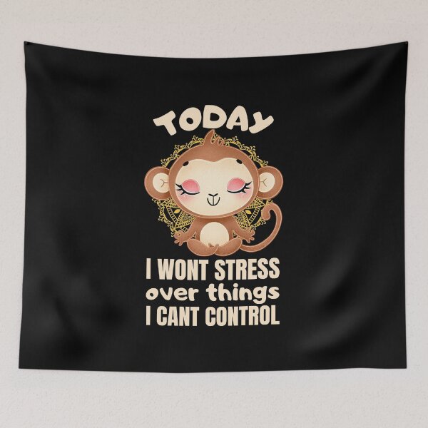Item preview, Today i wont stress over things i cant control designed and sold by FurioInc.