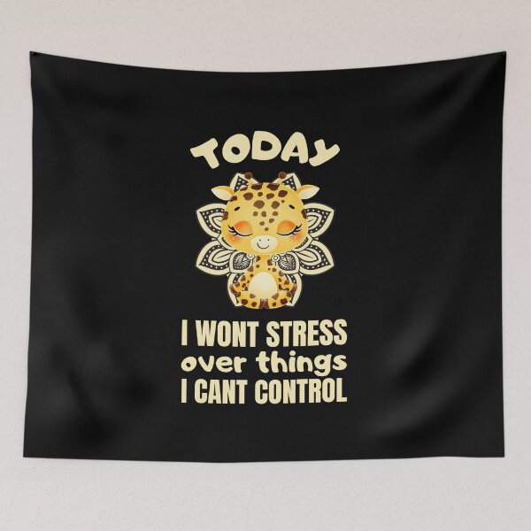 Item preview, Today i wont stress over things i cant control designed and sold by FurioInc.