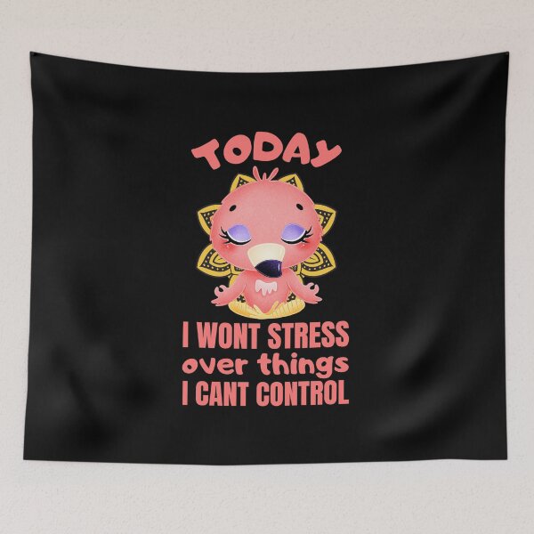 Item preview, Today i wont stress over things i cant control designed and sold by FurioInc.