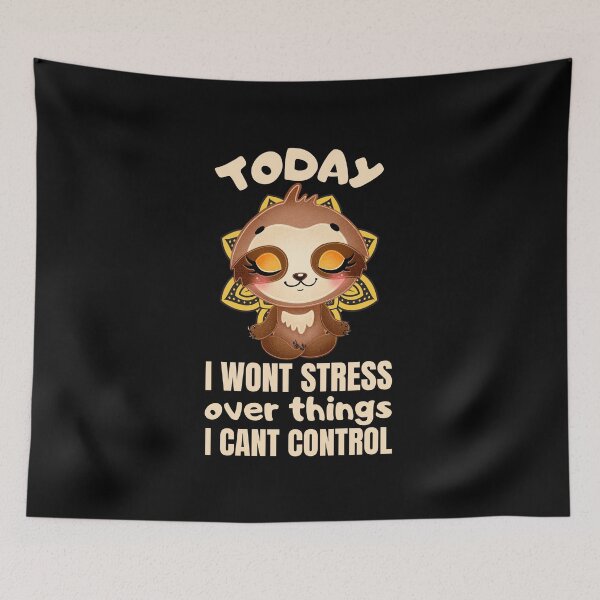 Item preview, Today i wont stress over things i cant control designed and sold by FurioInc.