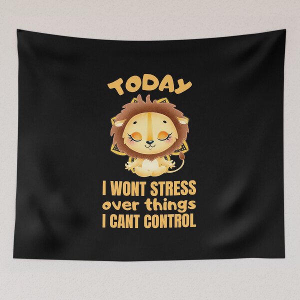 Item preview, Today i wont stress over things i cant control designed and sold by FurioInc.