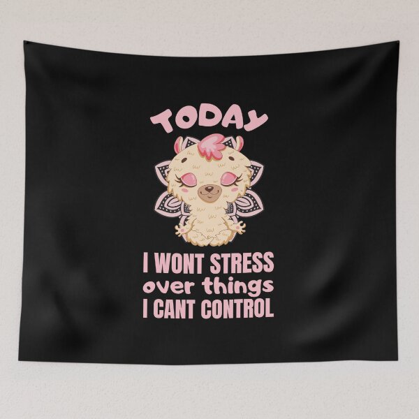 Item preview, Today i wont stress over things i cant control designed and sold by FurioInc.