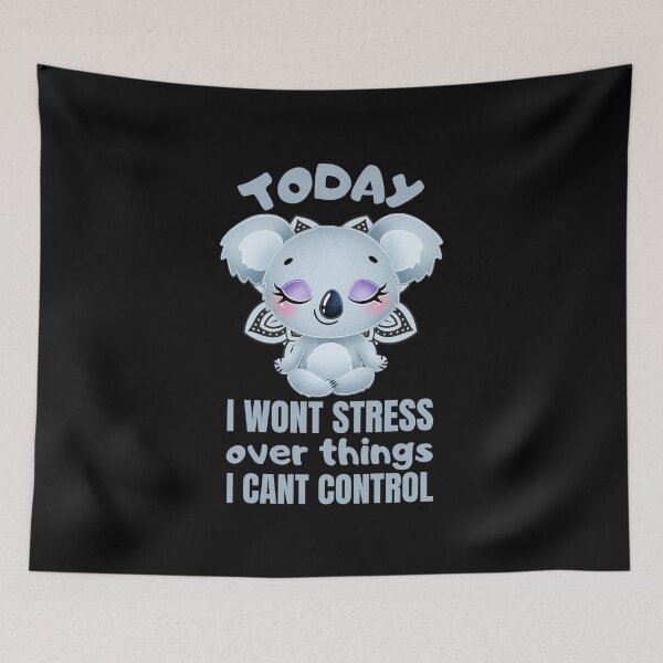 Item preview, Today i wont stress over things i cant control designed and sold by FurioInc.
