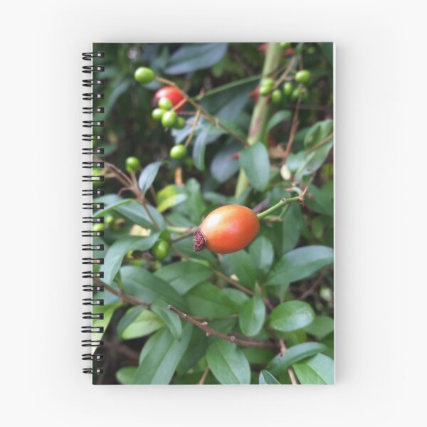 Item preview, rosehip ripen  designed and sold by feiermar.