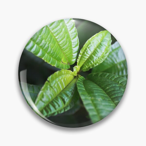 Item preview, Green Leaf (Kokoda) designed and sold by BenClarkImagery.
