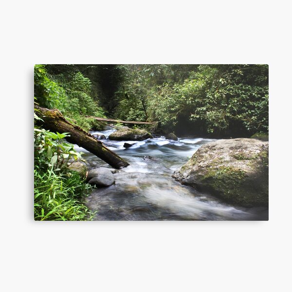 Item preview, Flowing Vabuiagi River  designed and sold by BenClarkImagery.