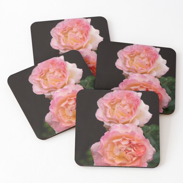 Item preview, Pink rachel two rose flowers in bloom designed and sold by santoshputhran.