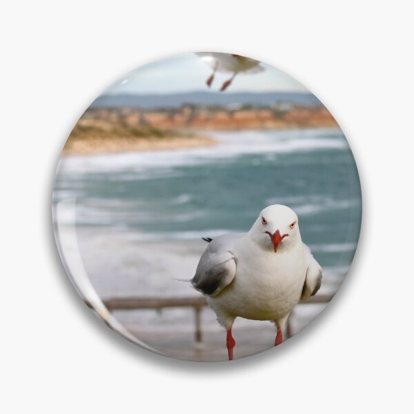 Item preview, Swoop designed and sold by BenClarkImagery.