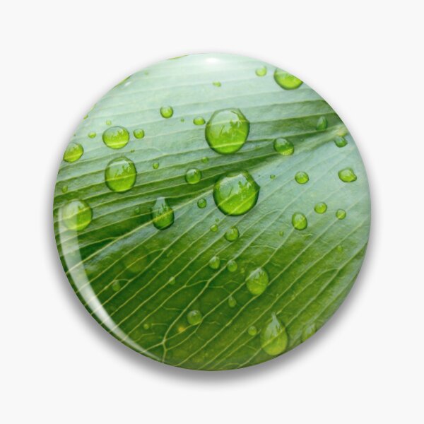 Item preview, Dew drops on Leaf  designed and sold by BenClarkImagery.