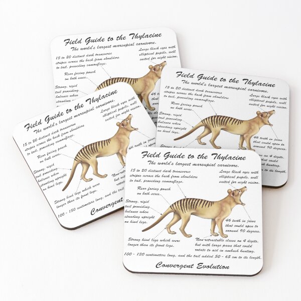 Item preview, A Field Guide to Thylacines - cursive writing designed and sold by Kestrelle.
