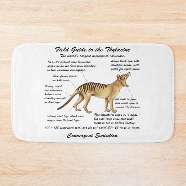 Item preview, A Field Guide to Thylacines - cursive writing designed and sold by Kestrelle.
