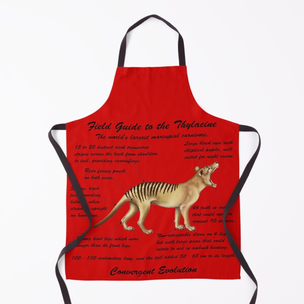 Item preview, A Field Guide to Thylacines - cursive writing designed and sold by Kestrelle.