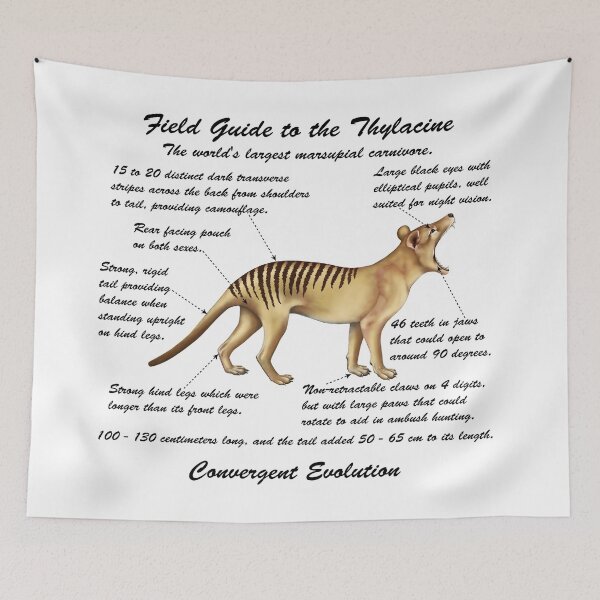 Item preview, A Field Guide to Thylacines - cursive writing designed and sold by Kestrelle.