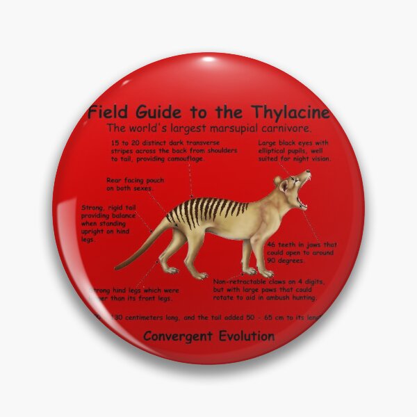 Item preview,  A Field Guide to the Thylacine - print writing designed and sold by Kestrelle.