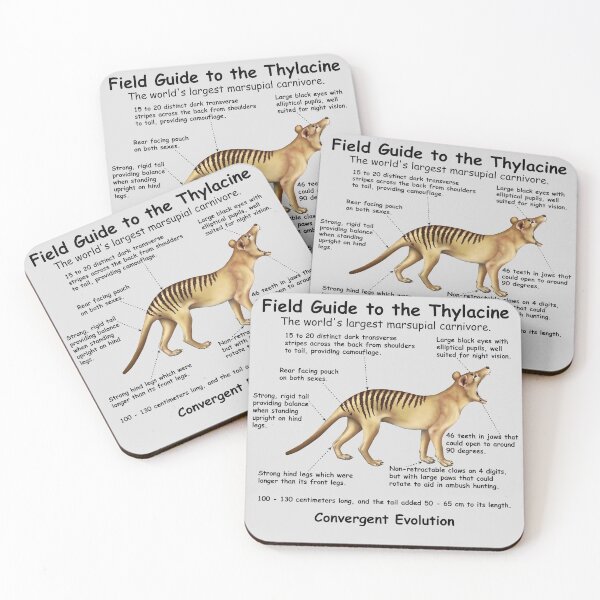 Item preview,  A Field Guide to the Thylacine - print writing designed and sold by Kestrelle.