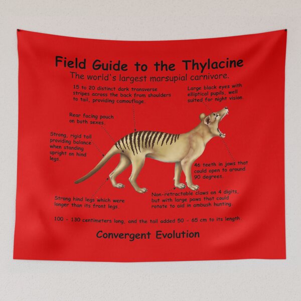 Item preview,  A Field Guide to the Thylacine - print writing designed and sold by Kestrelle.