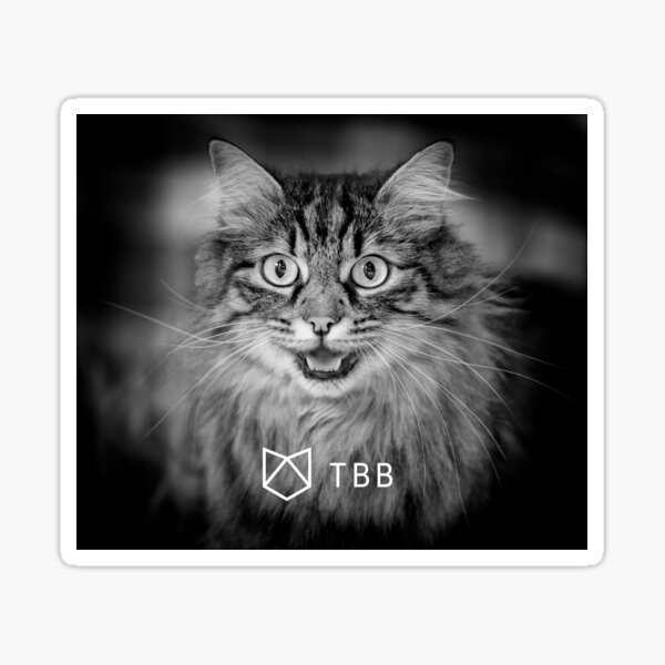 Communicating cat Sticker
