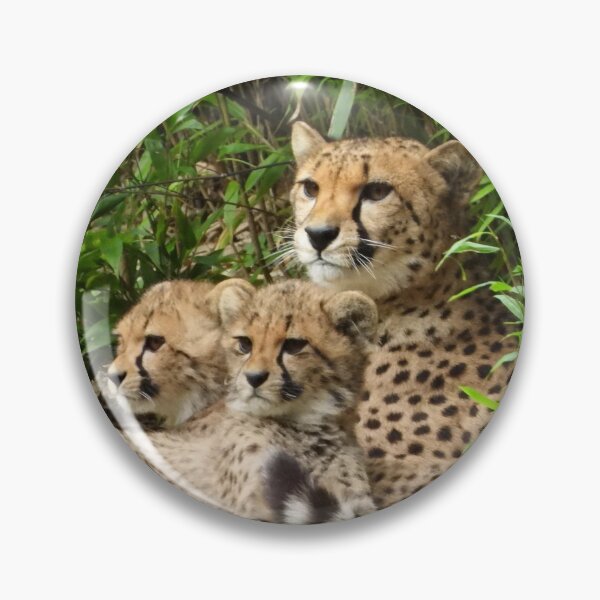 Item preview, A Beautiful Cheetah With Her Two Cubs designed and sold by Karen Thomson.