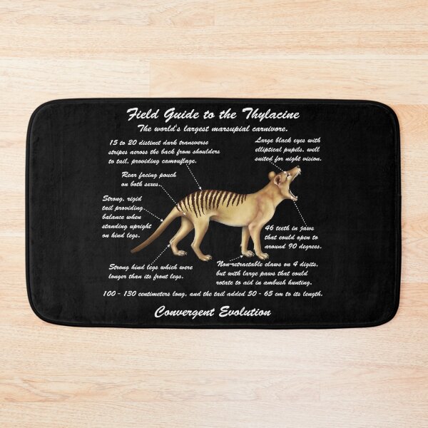 Item preview, A Field Guide to Thylacines - white cursive writing designed and sold by Kestrelle.