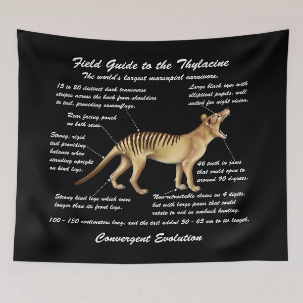 Item preview, A Field Guide to Thylacines - white cursive writing designed and sold by Kestrelle.