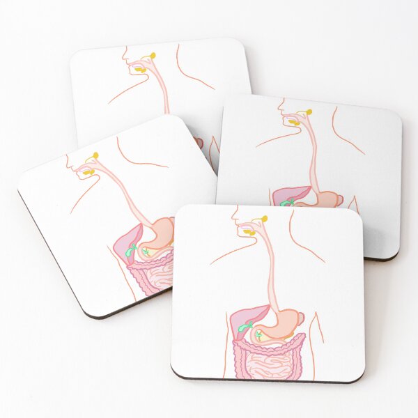 Item preview, Gastrointestinal tract anatomy   designed and sold by thesmileymedic.