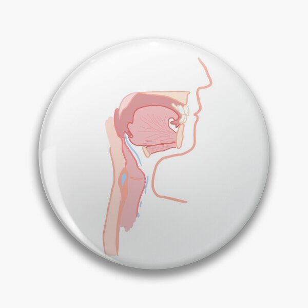Artikelvorschau, Anatomie von Mund und Rachen entworfen und verkauft von thesmileymedic.
