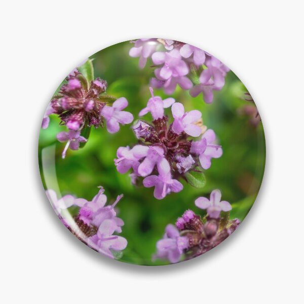 Item preview, Floating Thyme designed and sold by Weston  Westmoreland.