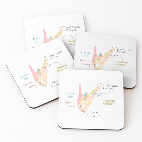 Item preview, Inguinal ligament anatomy  designed and sold by thesmileymedic.