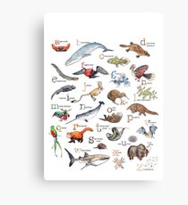 A to Z of Amazing Animals Metal Print