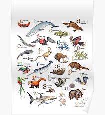 A to Z of Amazing Animals Poster