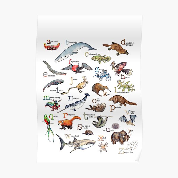 A to Z of Amazing Animals Poster