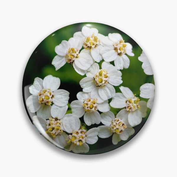 Item preview, Yarrow designed and sold by Weston Westmoreland.