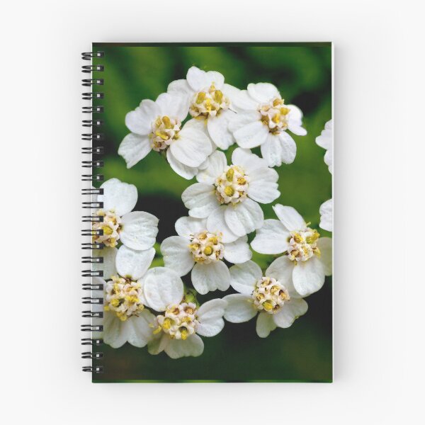 Item preview, Yarrow designed and sold by Weston Westmoreland.