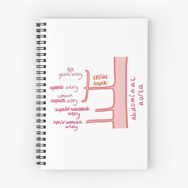 Item preview, Abdominal aorta anatomy  designed and sold by thesmileymedic.