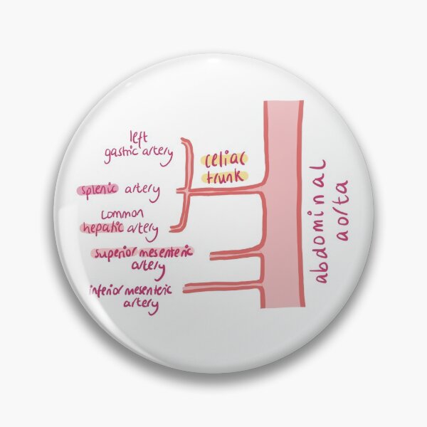 Item preview, Abdominal aorta anatomy  designed and sold by thesmileymedic.