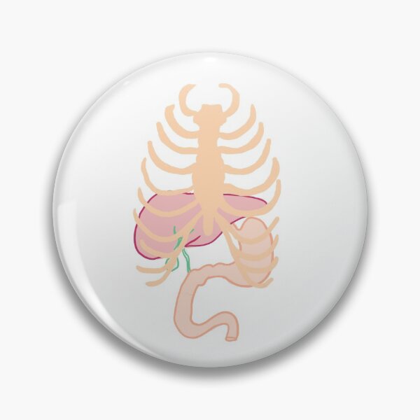 Item preview, Surface markings anatomy  designed and sold by thesmileymedic.