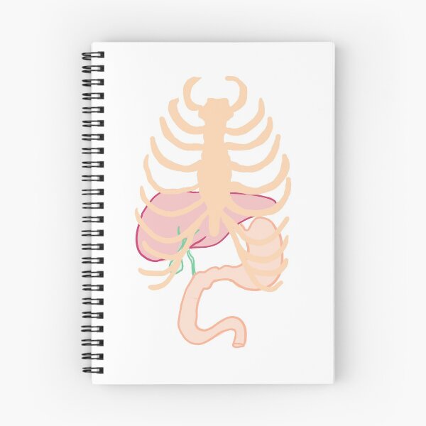 Artikelvorschau, Anatomie der Oberflächenmarkierungen entworfen und verkauft von thesmileymedic.