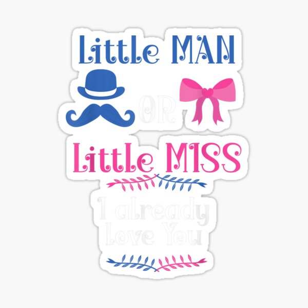 6 x 'Miss You Already' Clear Stickers SK00023892 