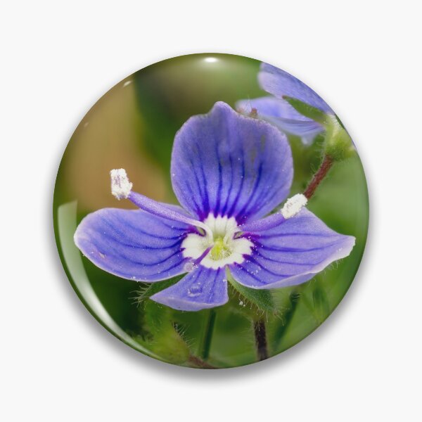 Item preview, Germander Speedwell designed and sold by Weston  Westmoreland.