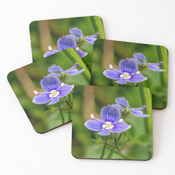 Item preview, Germander Speedwell designed and sold by Weston  Westmoreland.