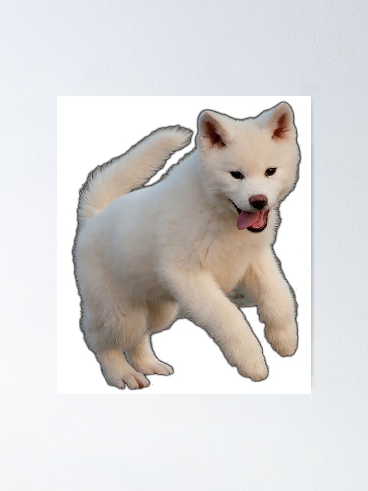 Baby Akita Inu Poster By Autrouvetout Redbubble