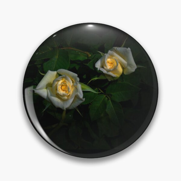 Item preview, Glowing White Roses designed and sold by alabca.